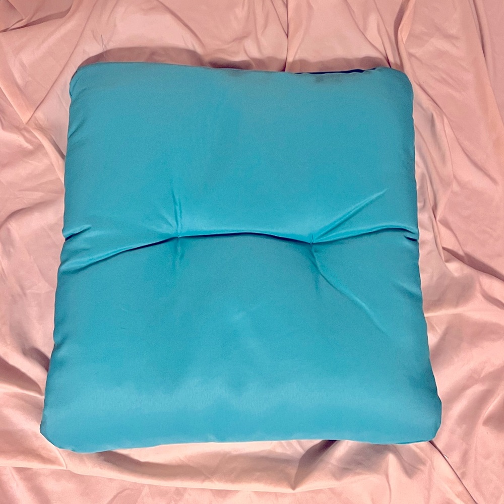 Blue indoor/outdoor cushions